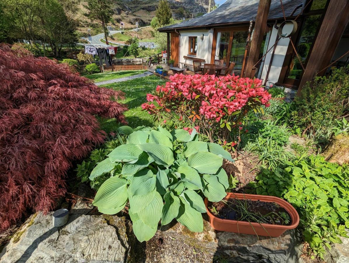 Gasthaus Bryn Elltyd Eco House Blaenau Ffestiniog Exterior foto